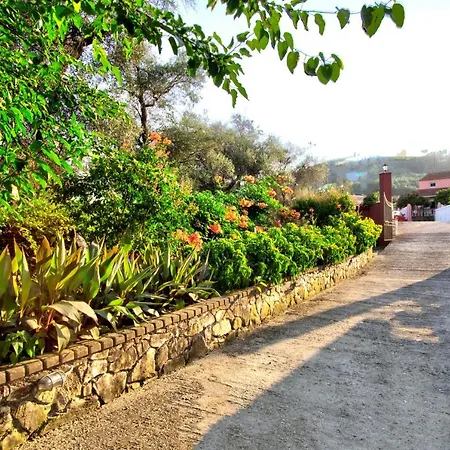 Blue Dream 4* Velonádes